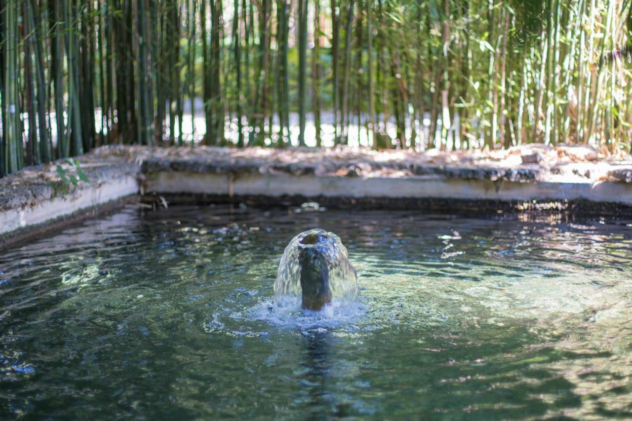 Las Aguas del Arbuniel con Pista de Pádel Esterno foto